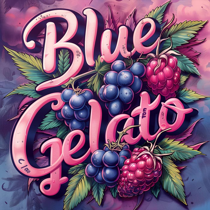 Blue Gelato Photoperiodic